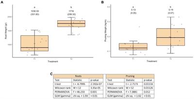 Scaling up: microbiome manipulation for climate change adaptation in large organic vineyards